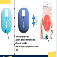 Innovative Menstrual Pain Reliever Device Co Seeking Funding